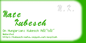 mate kubesch business card